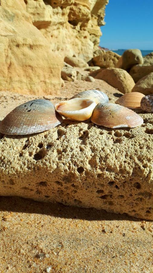 Appartamento Olhos Do Mar Albufeira Esterno foto